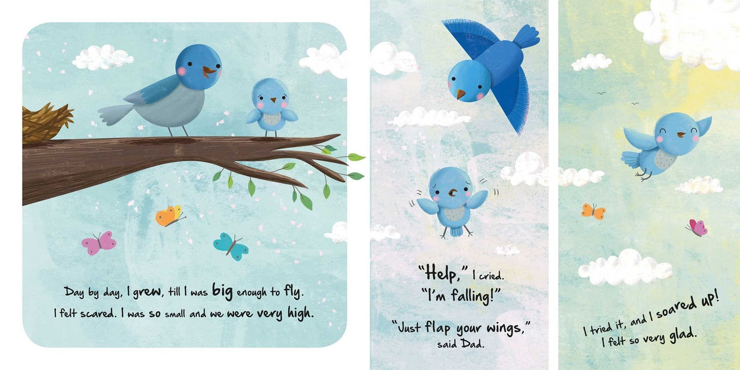 Nature Stories: Little Chick: Padded Board Book