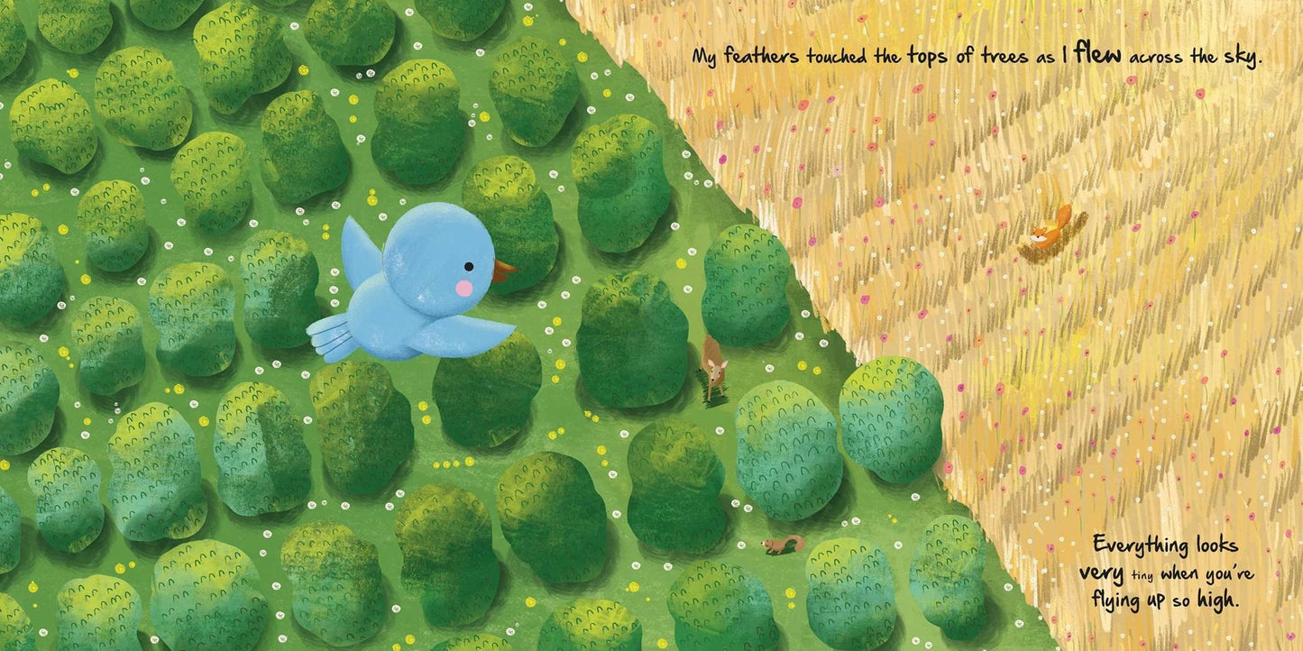 Nature Stories: Little Chick: Padded Board Book
