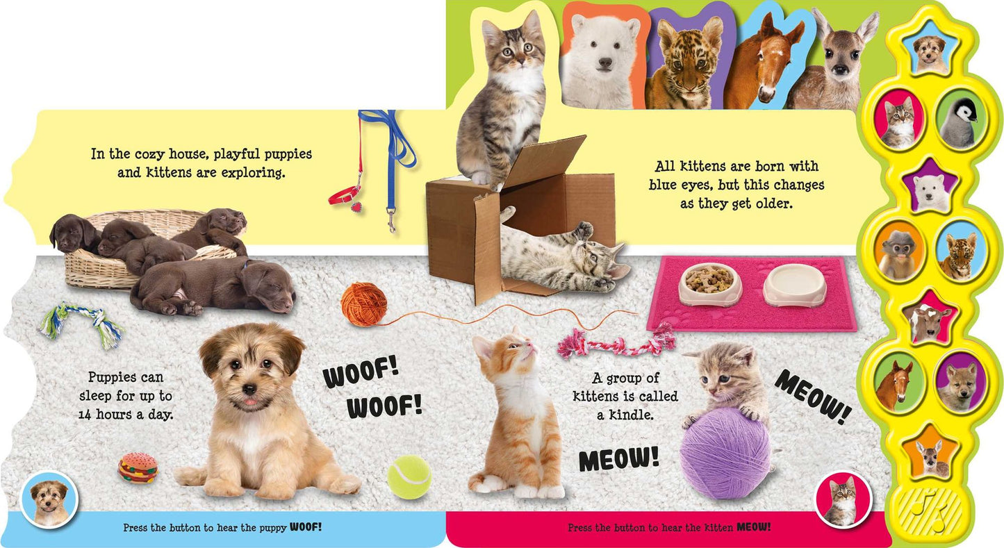 Baby Animals: Interactive Children's Sound Book with 10 Buttons
