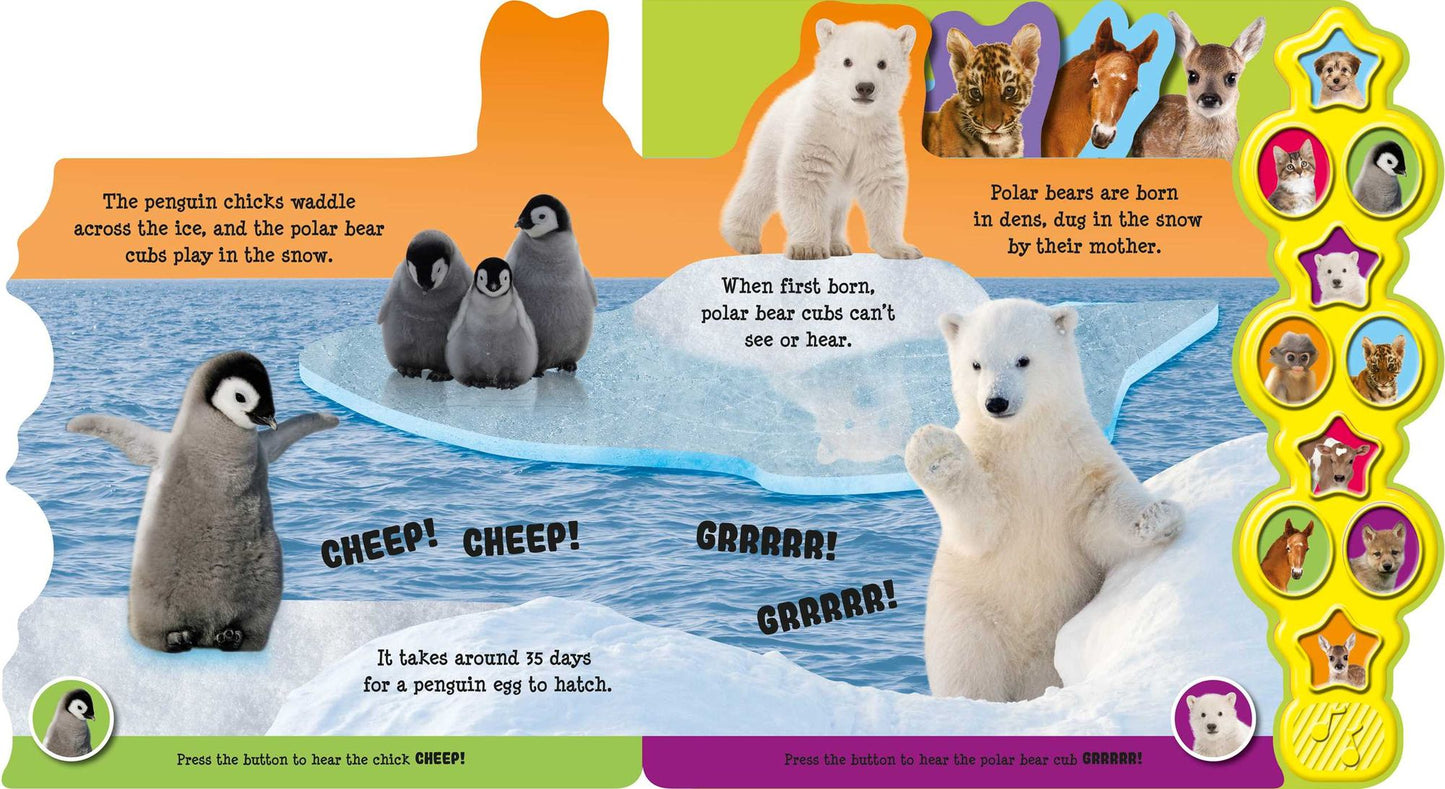 Baby Animals: Interactive Children's Sound Book with 10 Buttons