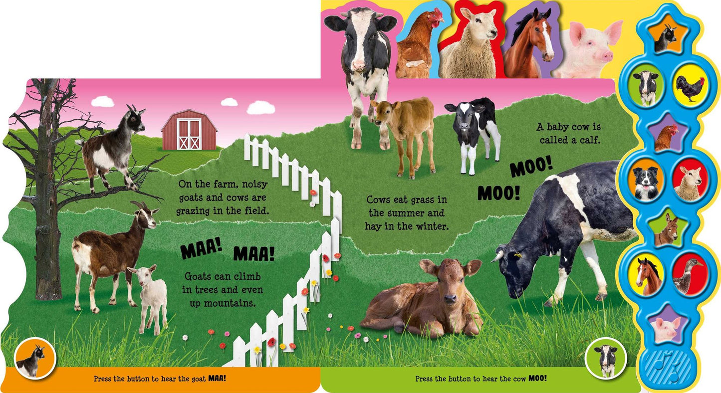 Noisy Farm: 10 Button Soundbook
