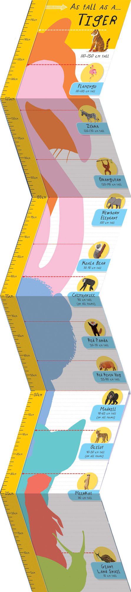 Are You Taller Than a Tiger
