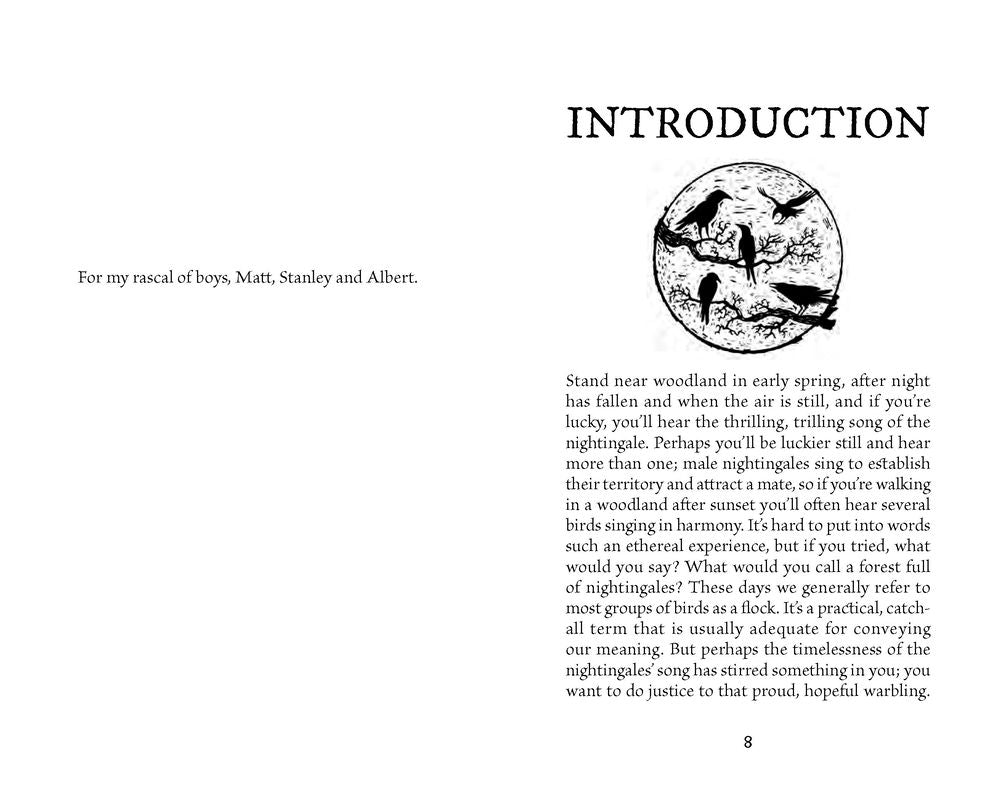 A Parliament of Owls: A Book of Collective Nouns