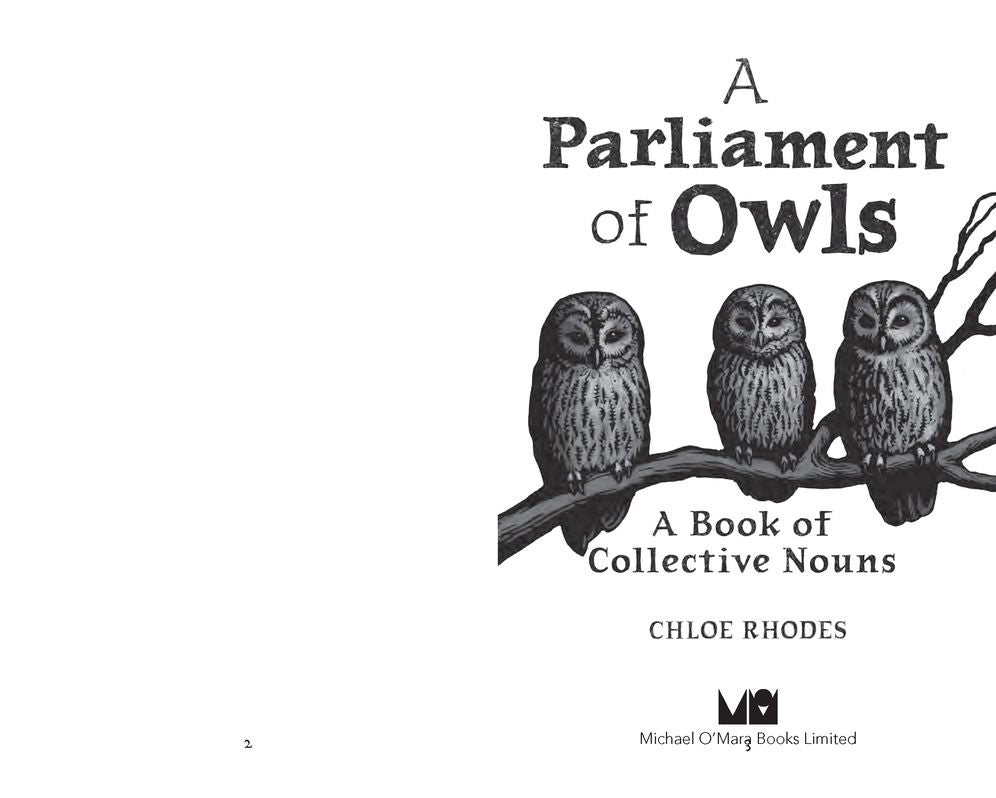 A Parliament of Owls: A Book of Collective Nouns