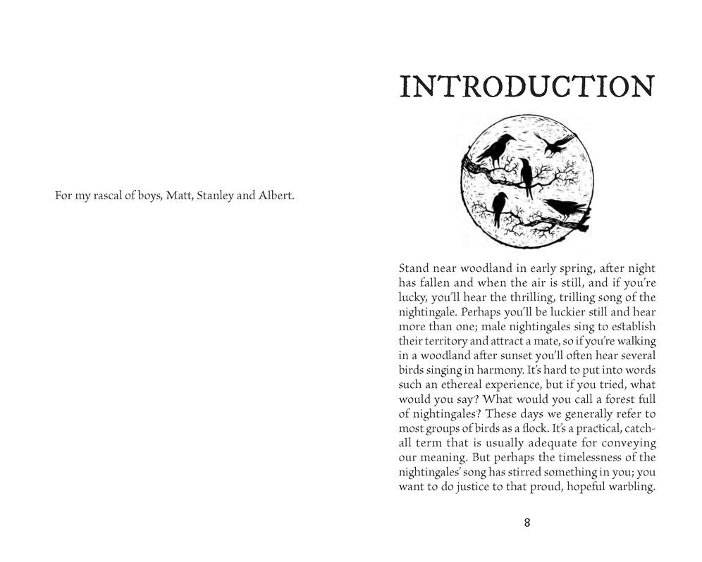 A Parliament of Owls: A Book of Collective Nouns