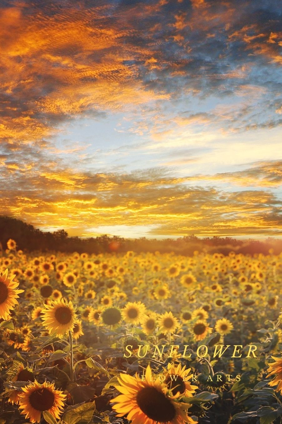 Sunflower: Flower Journal Notebook (110 Pages, 6'' x 9'')