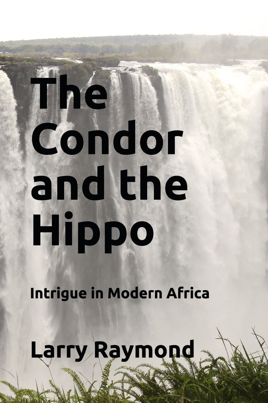 The Condor and the Hippo: Intrigue in Modern Africa