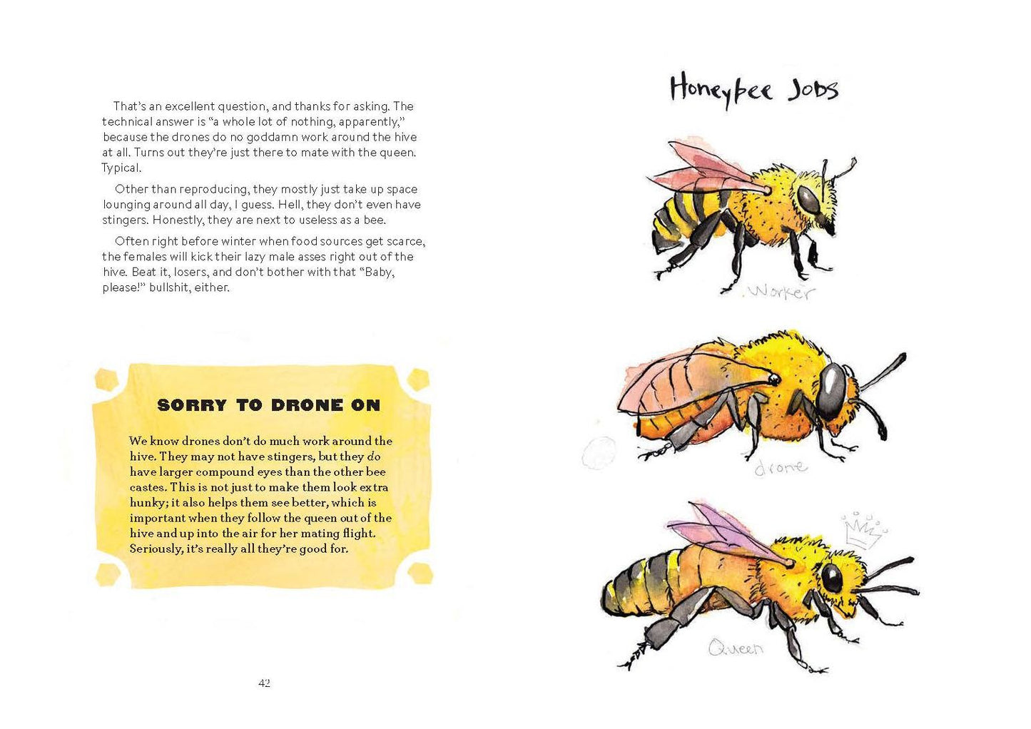 OMFG, BEES!: Bees Are So Amazing and You're About to Find Out Why