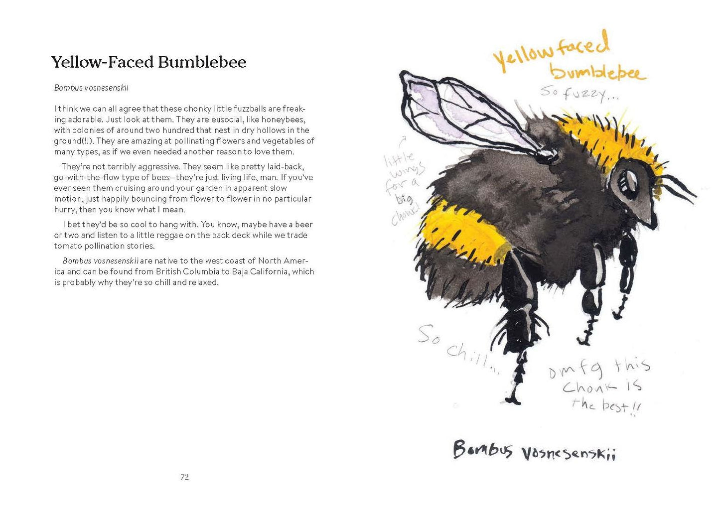 OMFG, BEES!: Bees Are So Amazing and You're About to Find Out Why