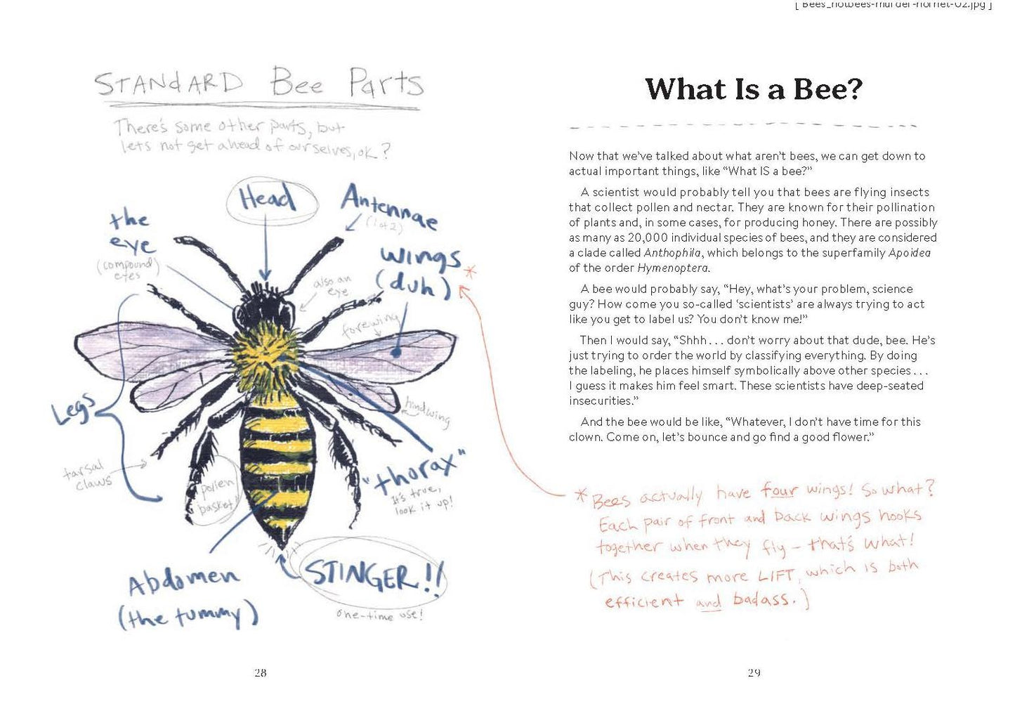 OMFG, BEES!: Bees Are So Amazing and You're About to Find Out Why