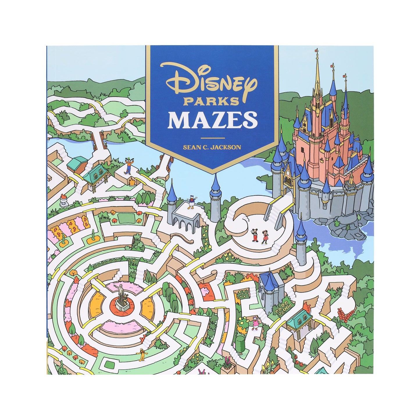 Disney Parks Mazes