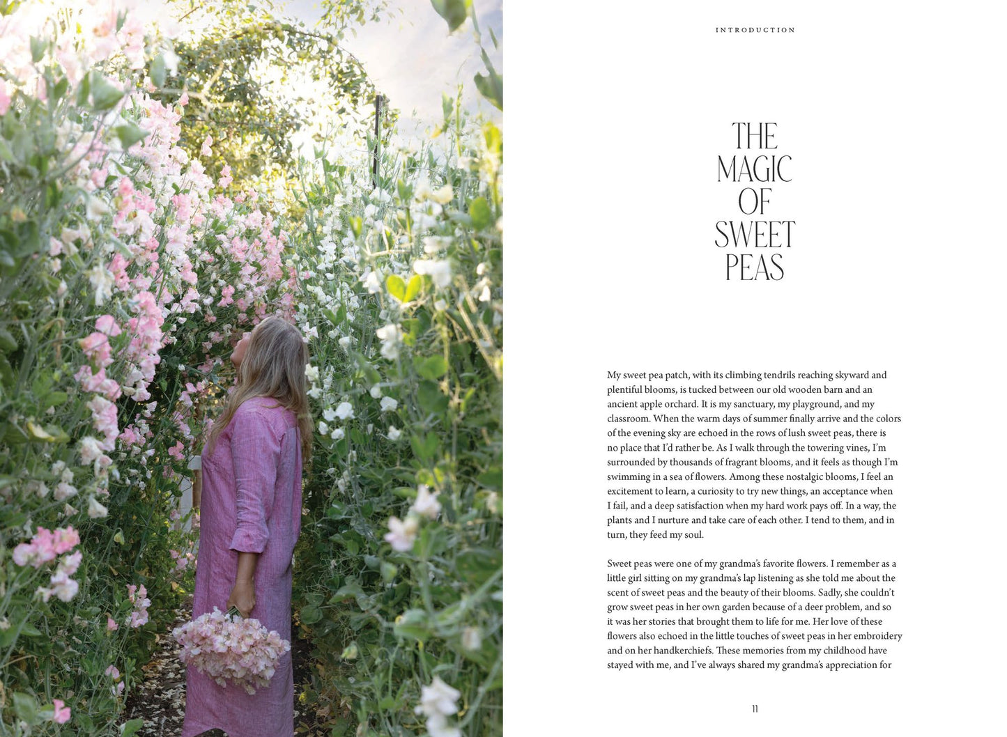 Sweet Pea School: Growing & Arranging the Garden's Most Romantic Blooms