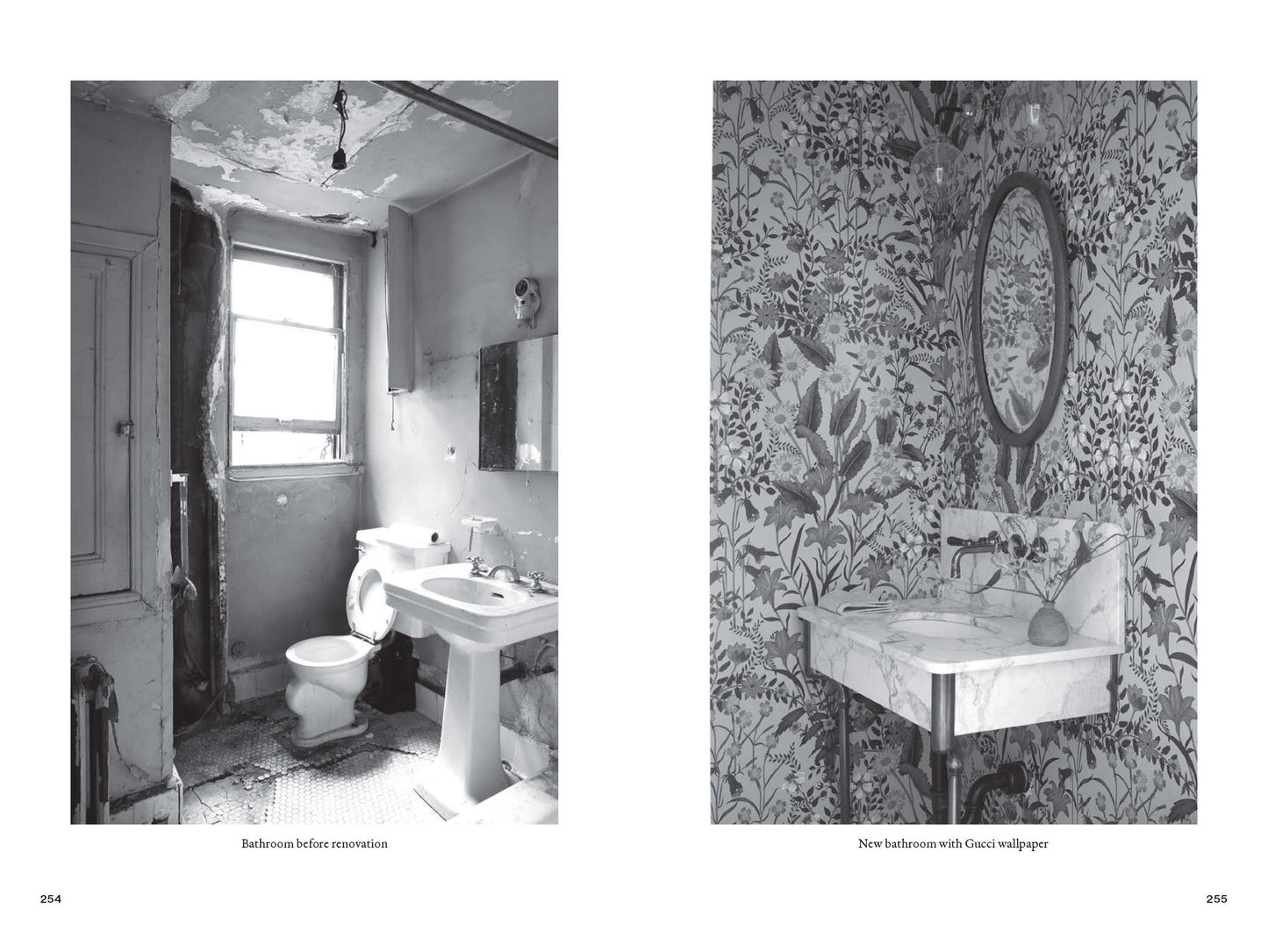 The Novogratz Chronicles: Lessons Learned from Twenty-Five Years of Buying and Renovating Houses