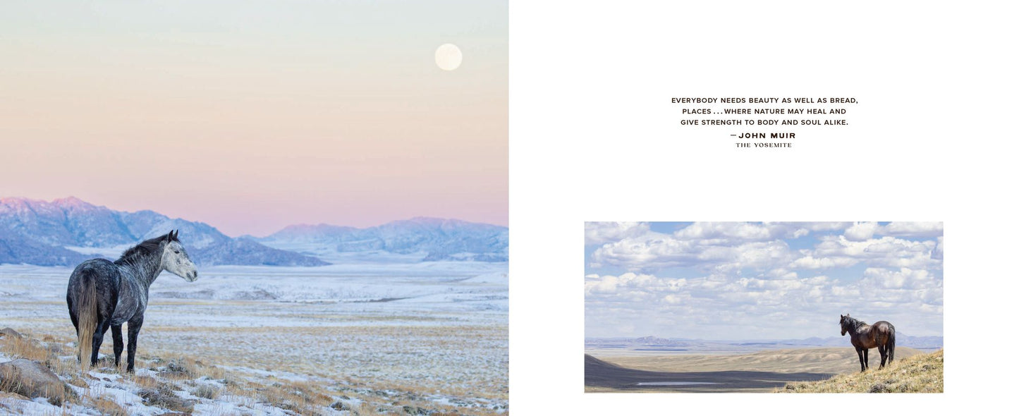 The Wild Horse Effect: Awe, Well-Being, and the Transformative Power of Nature