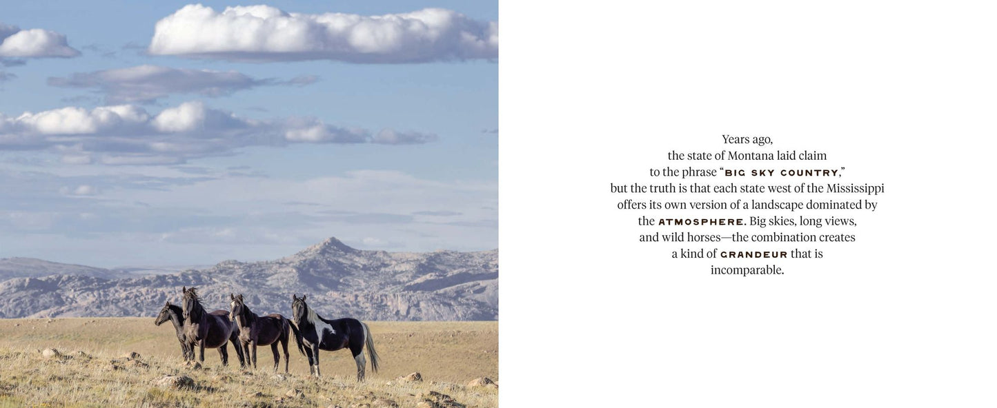 The Wild Horse Effect: Awe, Well-Being, and the Transformative Power of Nature