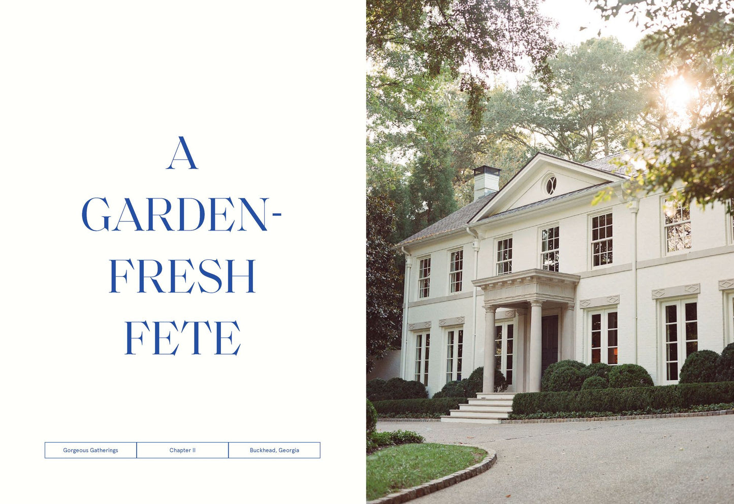 Gorgeous Gatherings: Designing Unforgettable Weddings and Luxurious Celebrations