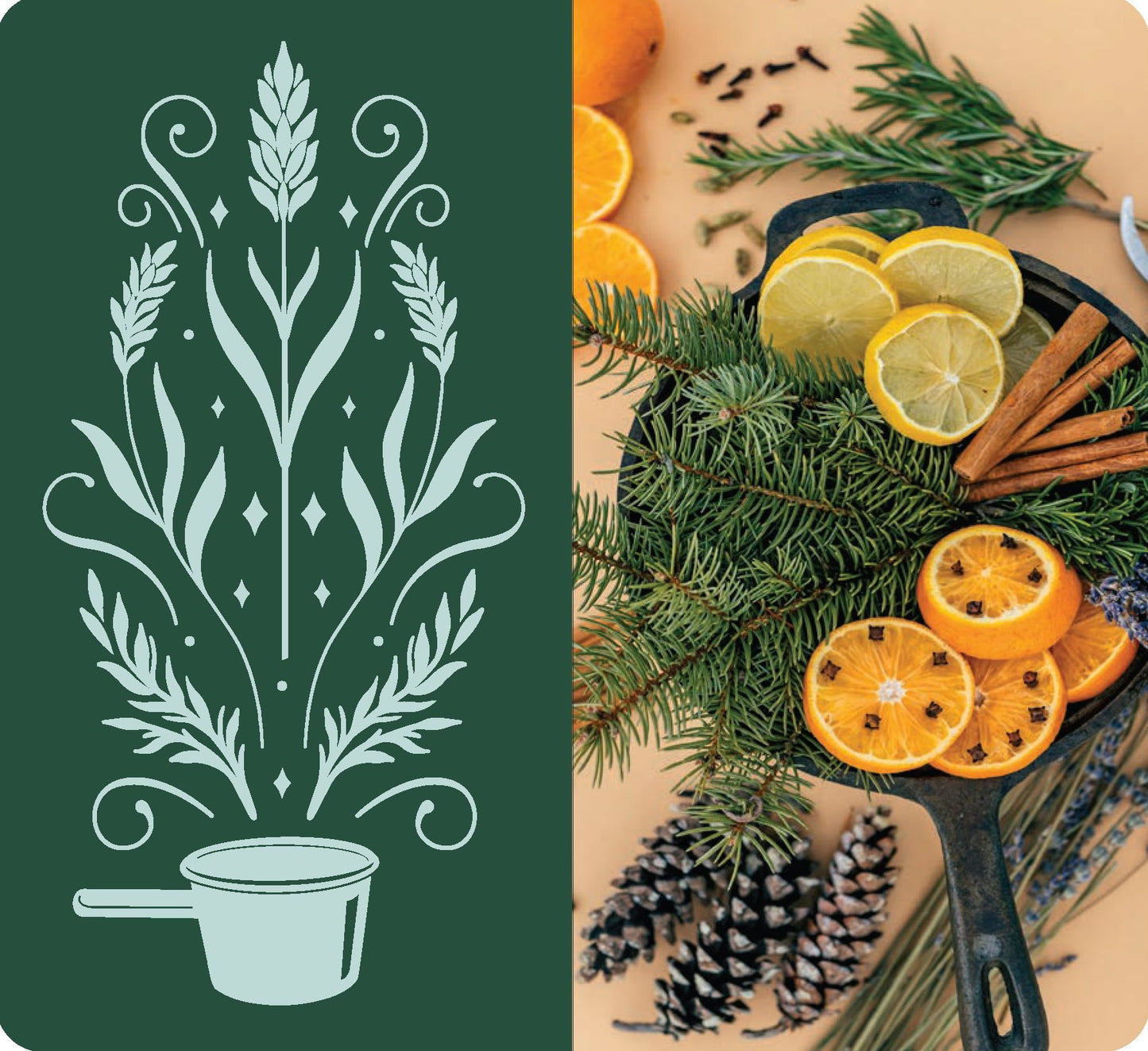 The Floral Project Deck: 30 DIY Bouquets, Arrangements, Wreaths & Other Seasonal Flower Projects