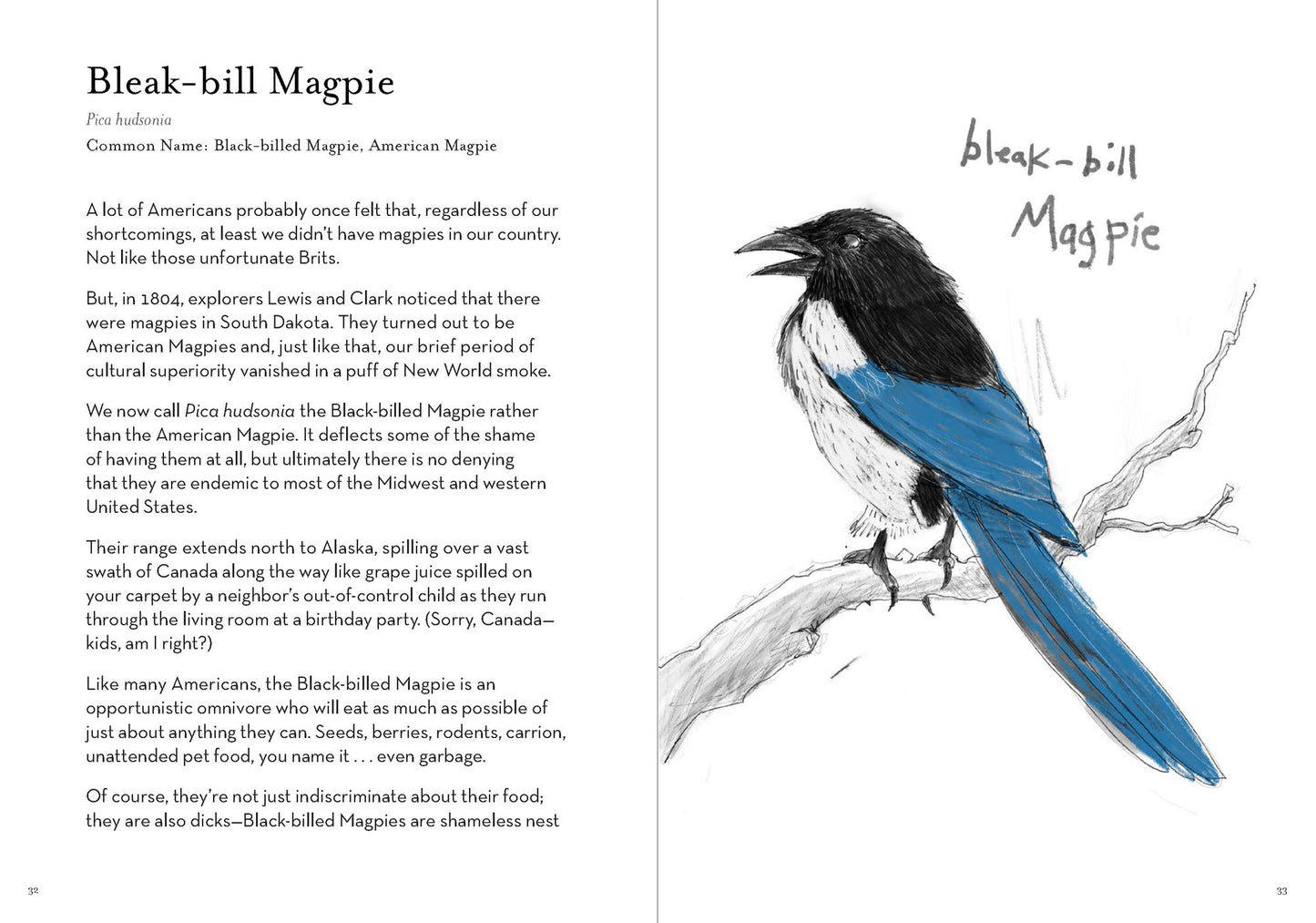 A Dumb Birds Field Guide to the Worst Birds Ever