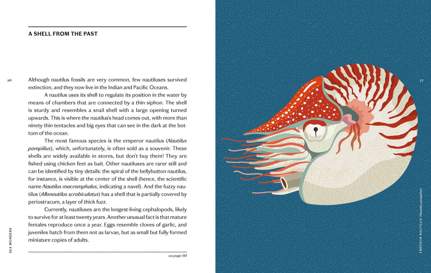 Sea Wonders: The Octopus, the Cuttlefish, and the Squid