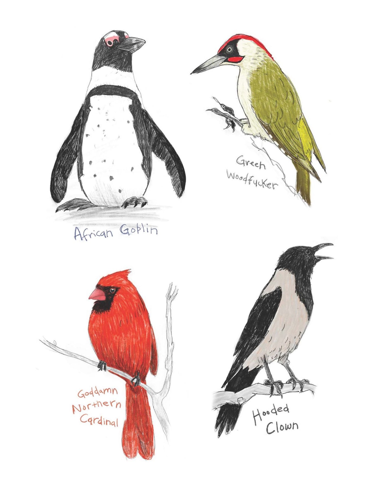 The Field Guide to Dumb Birds Sticker Book: 100+ Stickers of the Dumbest Birds