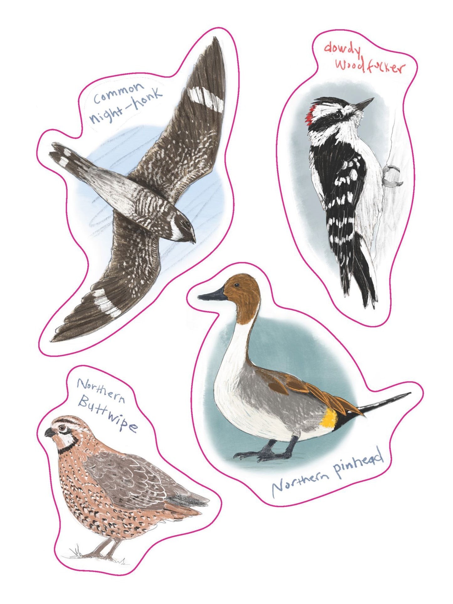 The Field Guide to Dumb Birds Sticker Book: 100+ Stickers of the Dumbest Birds