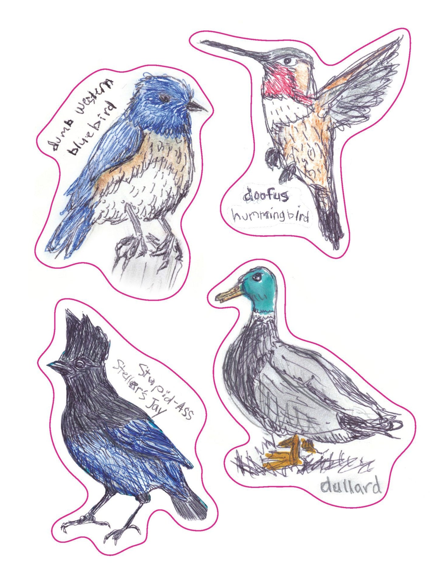 The Field Guide to Dumb Birds Sticker Book: 100+ Stickers of the Dumbest Birds