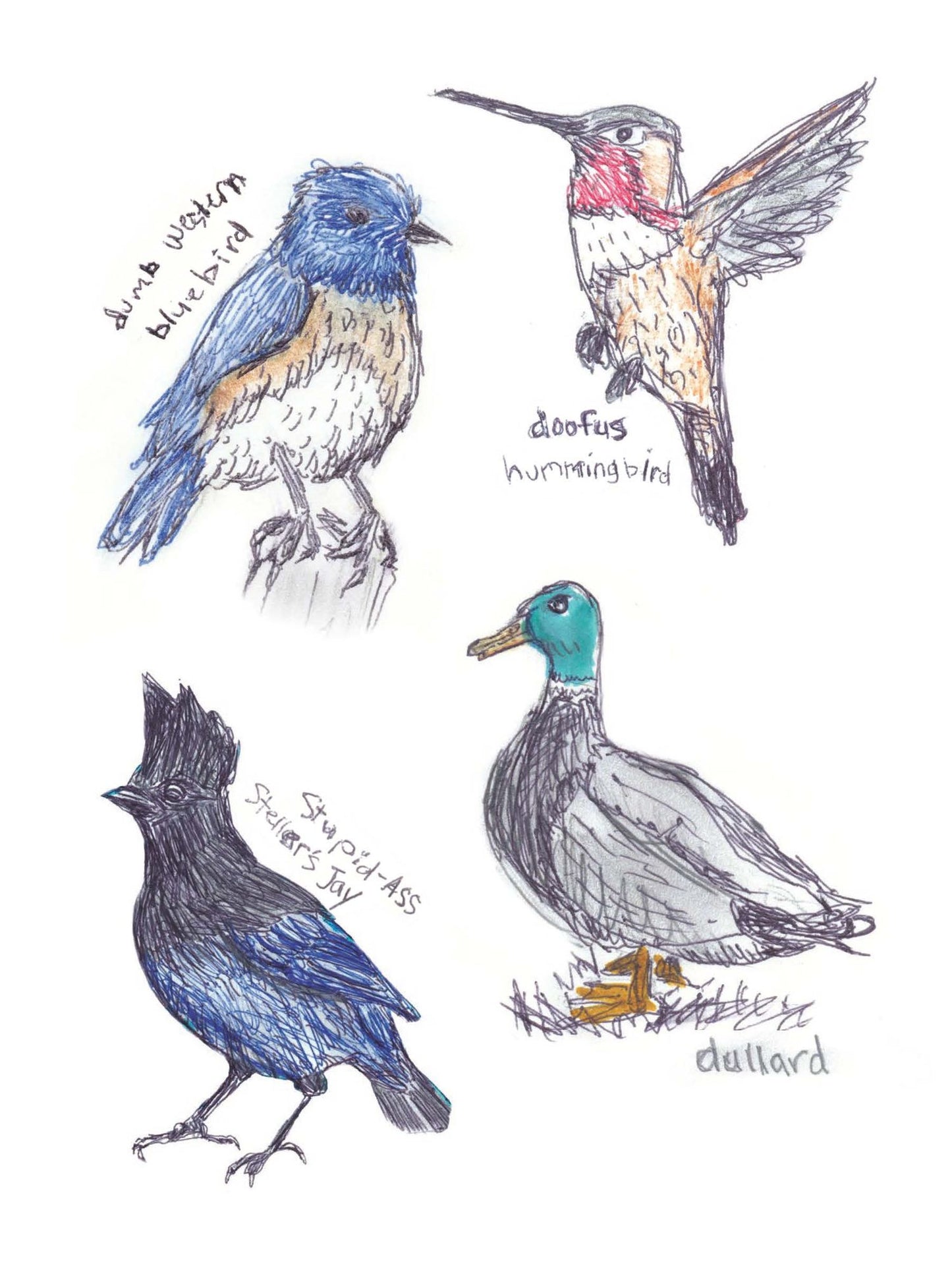 The Field Guide to Dumb Birds Sticker Book: 100+ Stickers of the Dumbest Birds