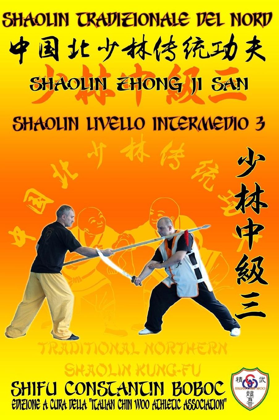 Shaolin Tradizionale del Nord Vol.7: Livello Avanzato - Xiong Shi 2