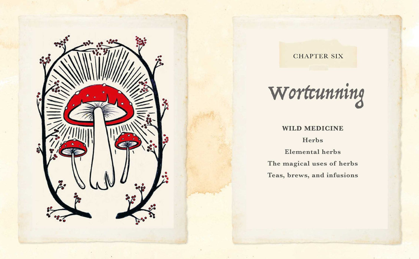 The Witch of The Woods: Spells, charms, divination, remedies, and folklore