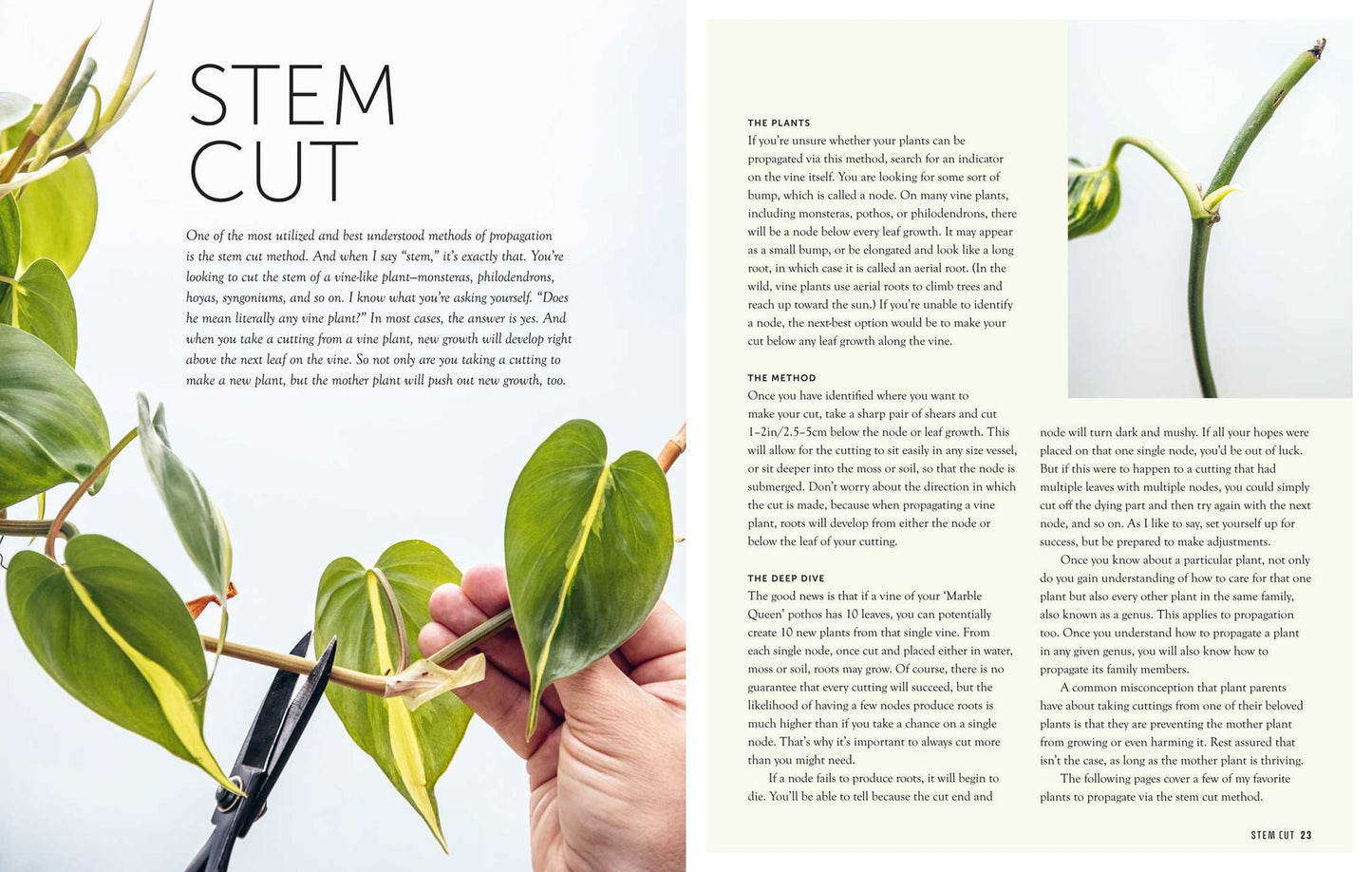 The Propagation Handbook: A guide to propagating houseplants