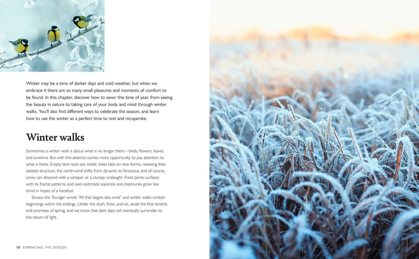 Winter Wellbeing: Seasonal self-care to nourish, sustain, and warm your soul