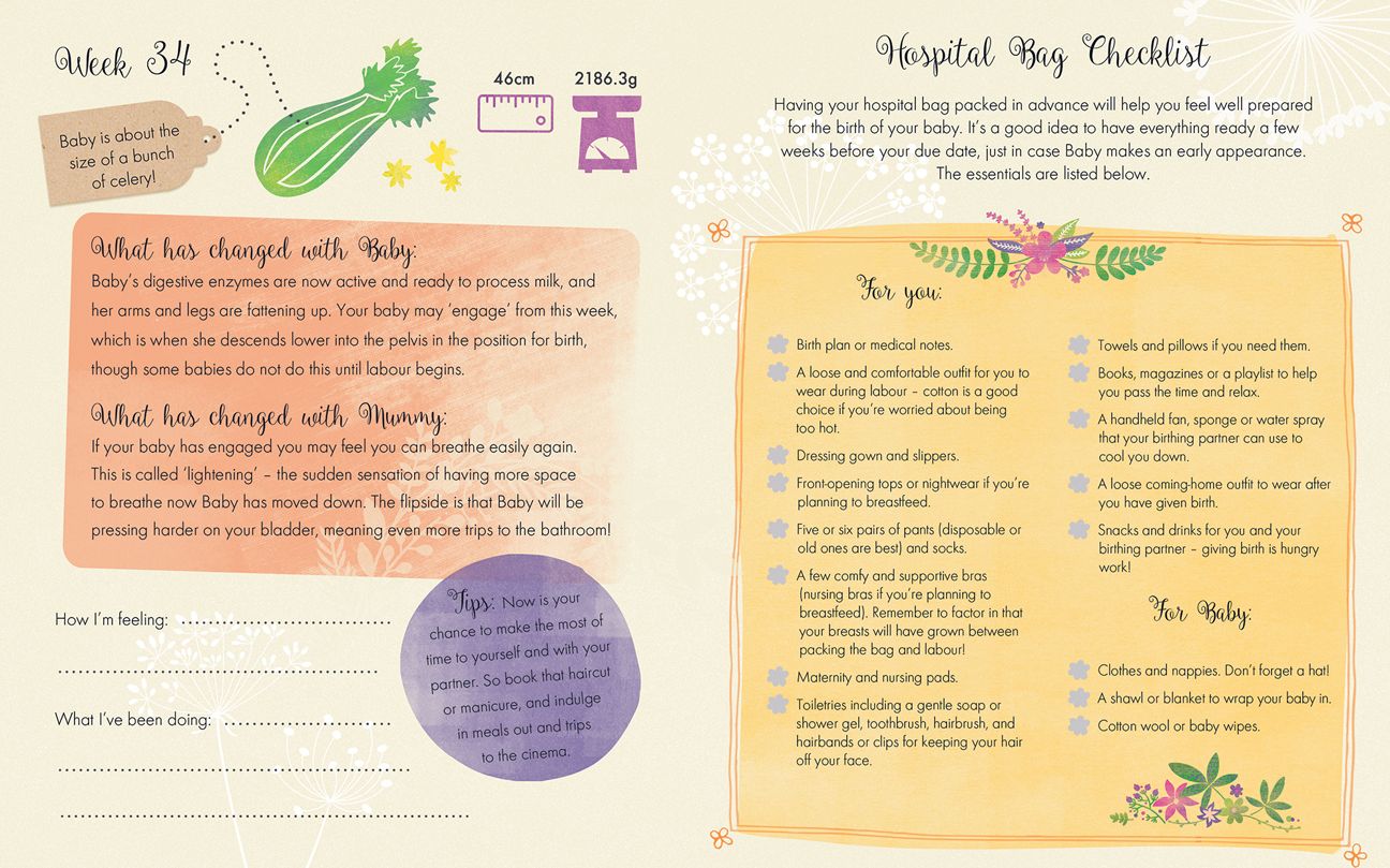 From Bump to Baby: A Pregnancy Journal