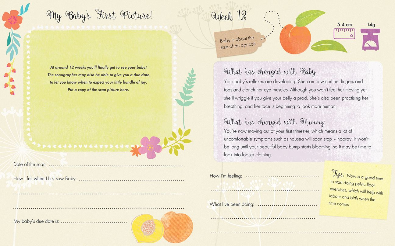 From Bump to Baby: A Pregnancy Journal