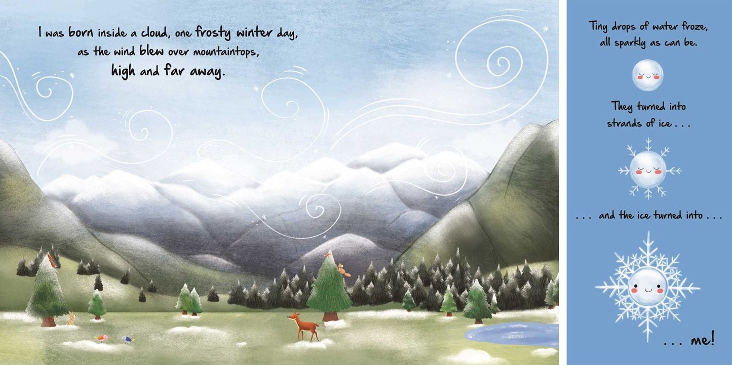 Nature Stories: Little Snowflake: Discover an Amazing Story from the Natural World-Padded Board Book