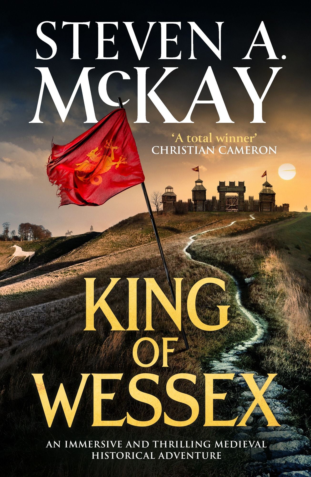 King of Wessex: An immersive and thrilling medieval historical adventure