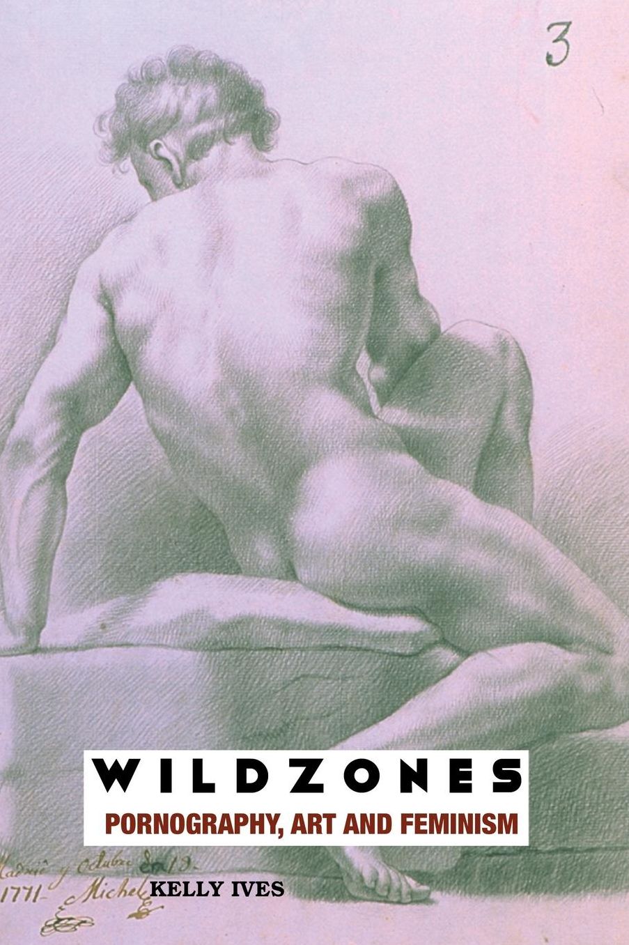Wild Zones: Pornography, Art and Feminism