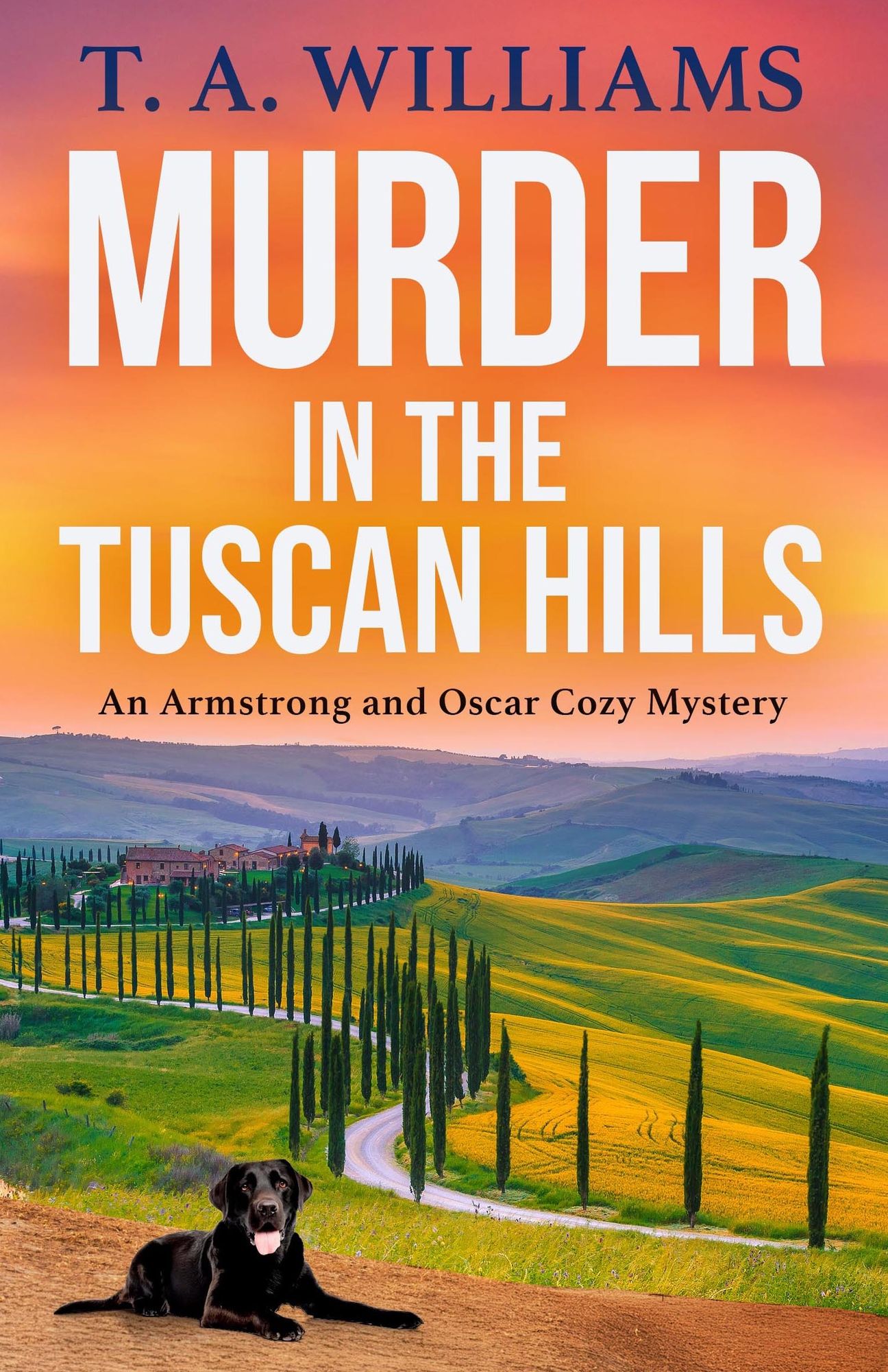 Murder in the Olive Grove (new cozy series TBC)