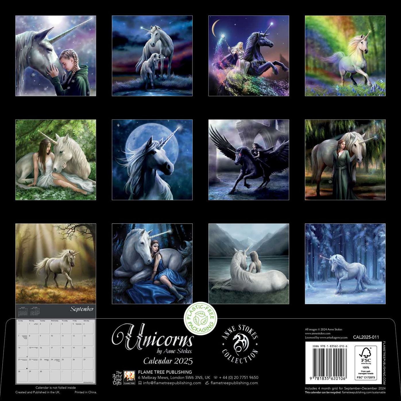 Unicorns by Anne Stokes Wall Calendar 2025 (Art Calendar)