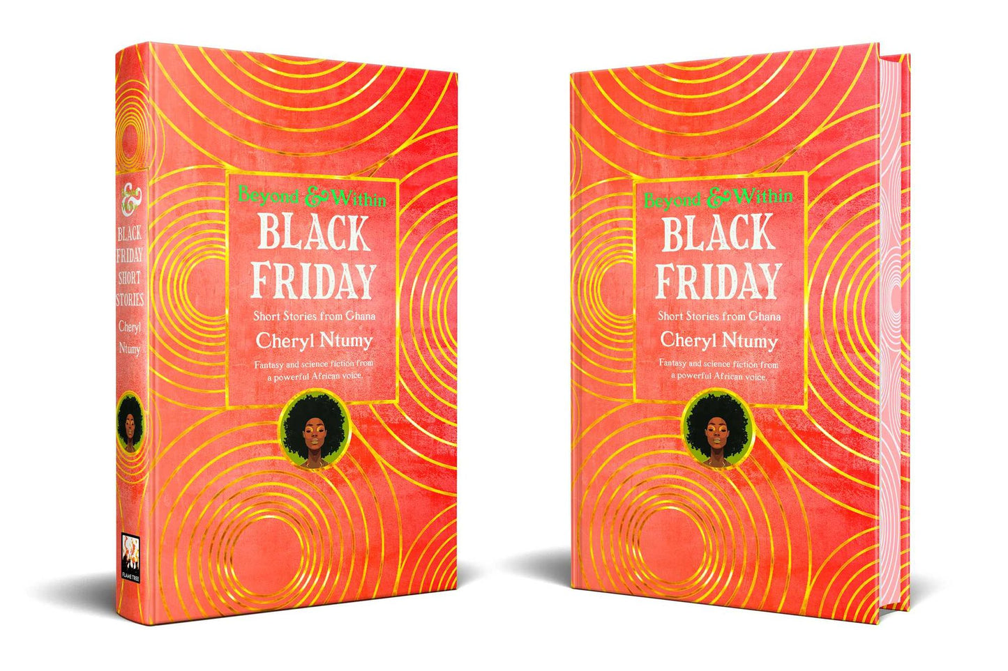 Black Friday: Short Stories from Ghana