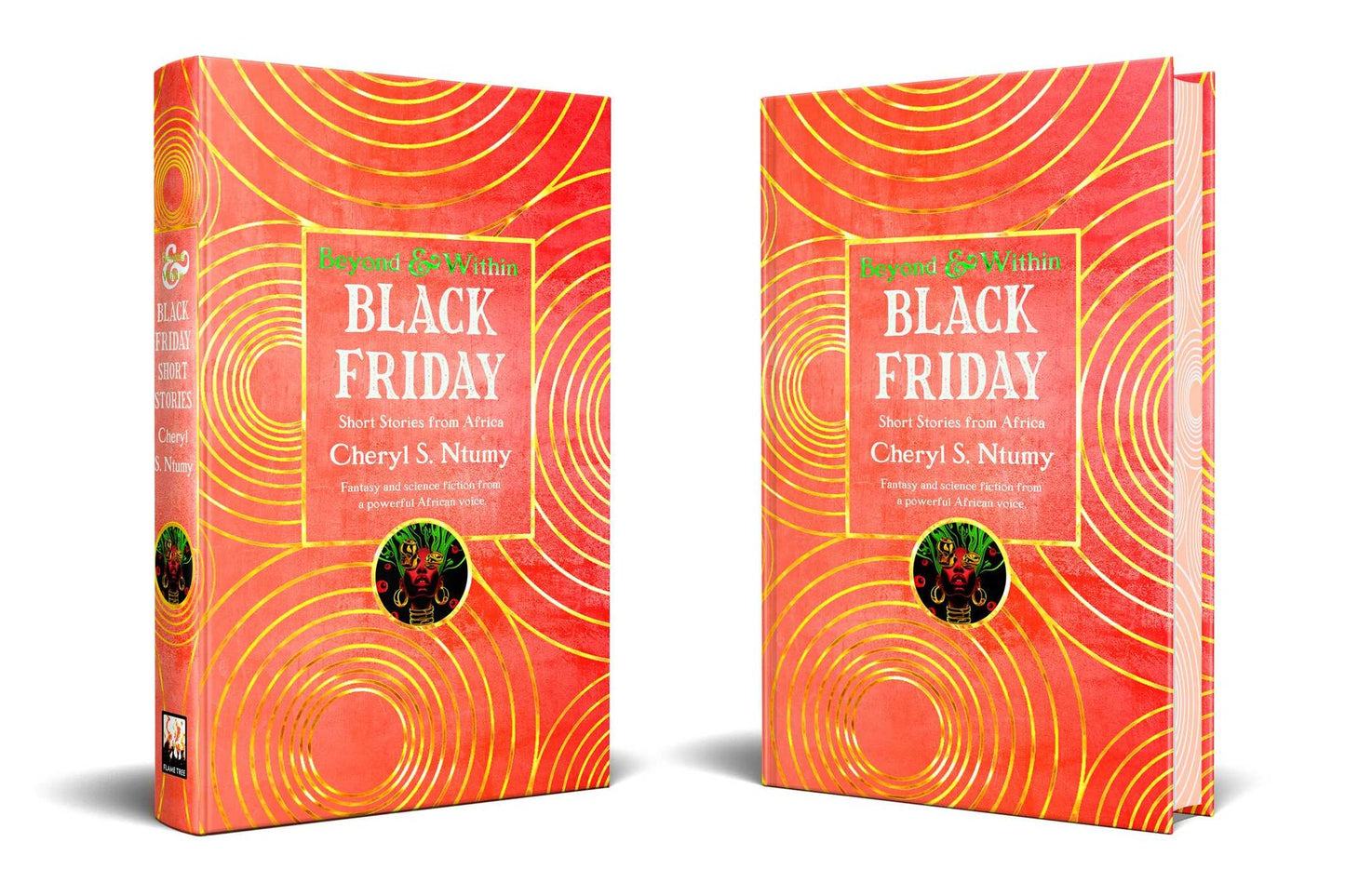 Black Friday: Short Stories from Ghana