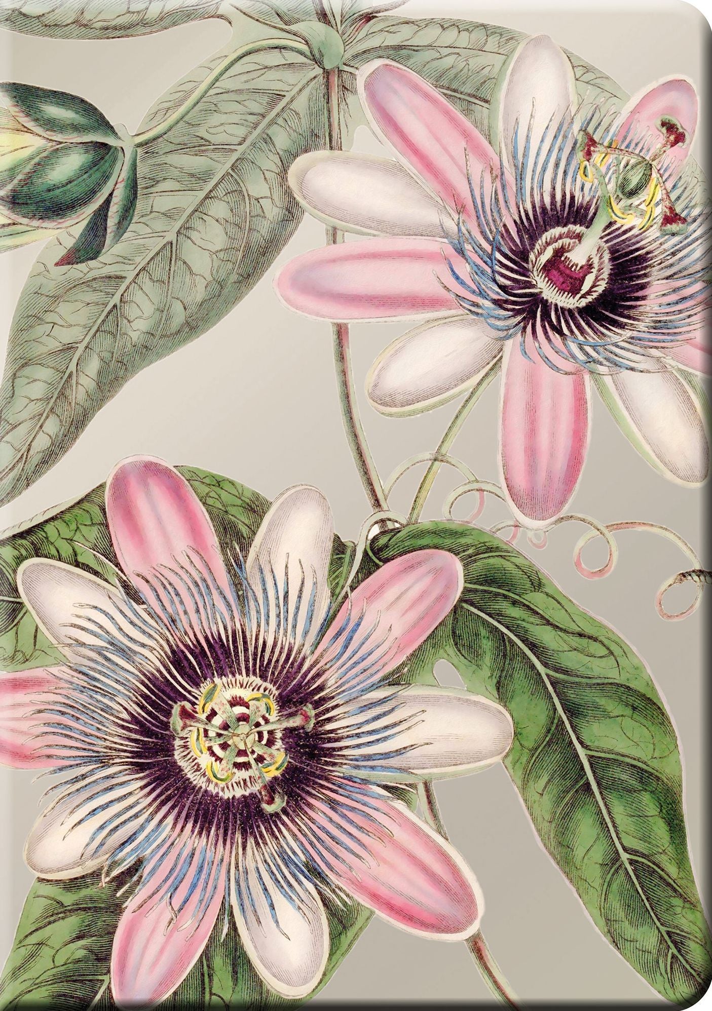 Soft Petals Notable Notebook