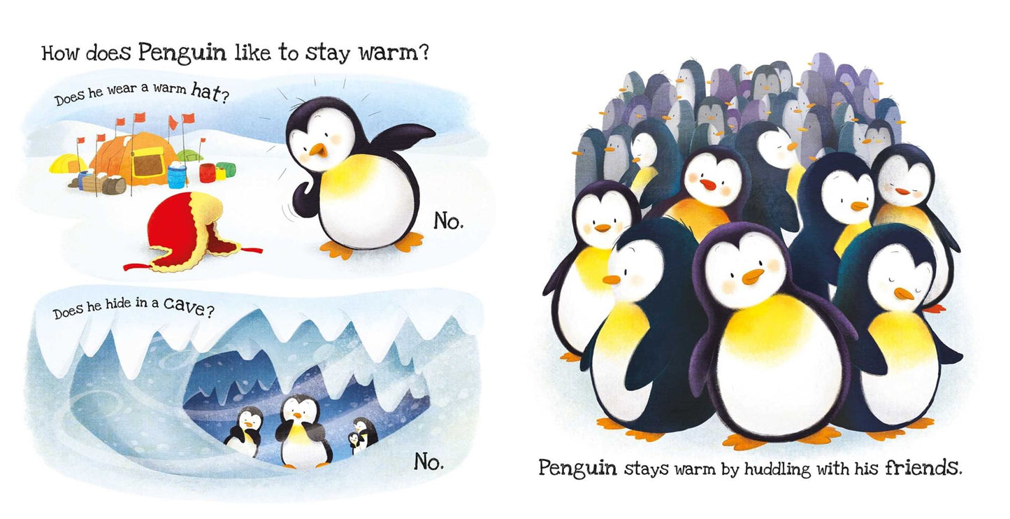 What Does Penguin Like?: Touch & Feel Board Book