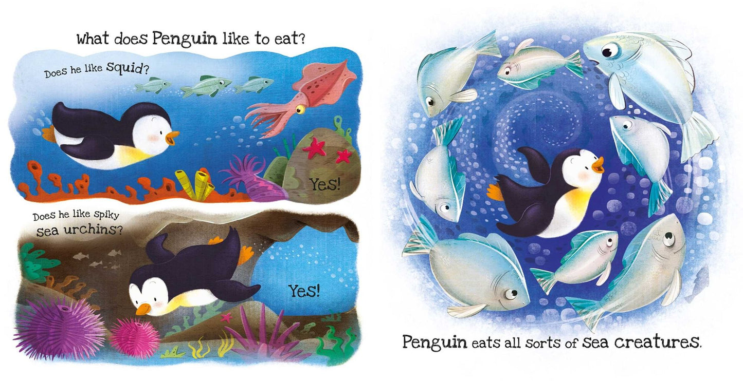 What Does Penguin Like?: Touch & Feel Board Book