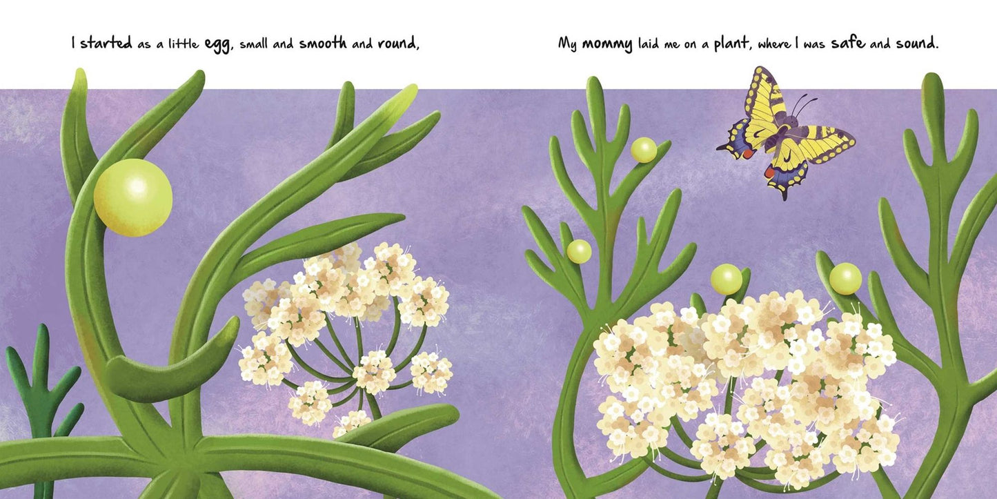 Nature Stories: Little Caterpillar: Discover Amazing Story from the Natural World! Padded Board Book