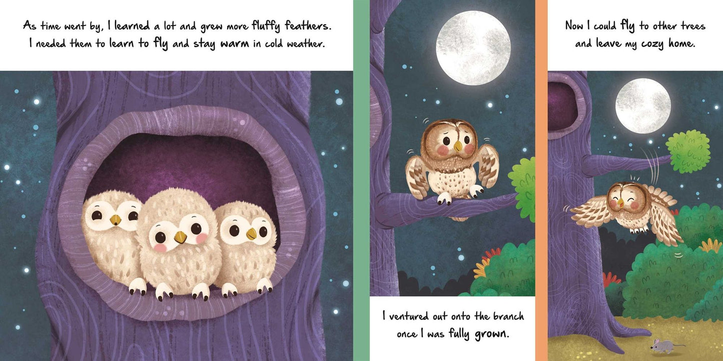 Nature Stories: Little Owl-Discover an Amazing Story from the Natural World: Padded Board Book