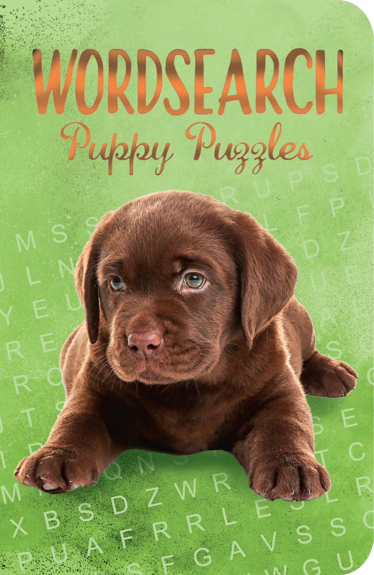 Puzzle Break: Puppy Puzzles Wordsearch