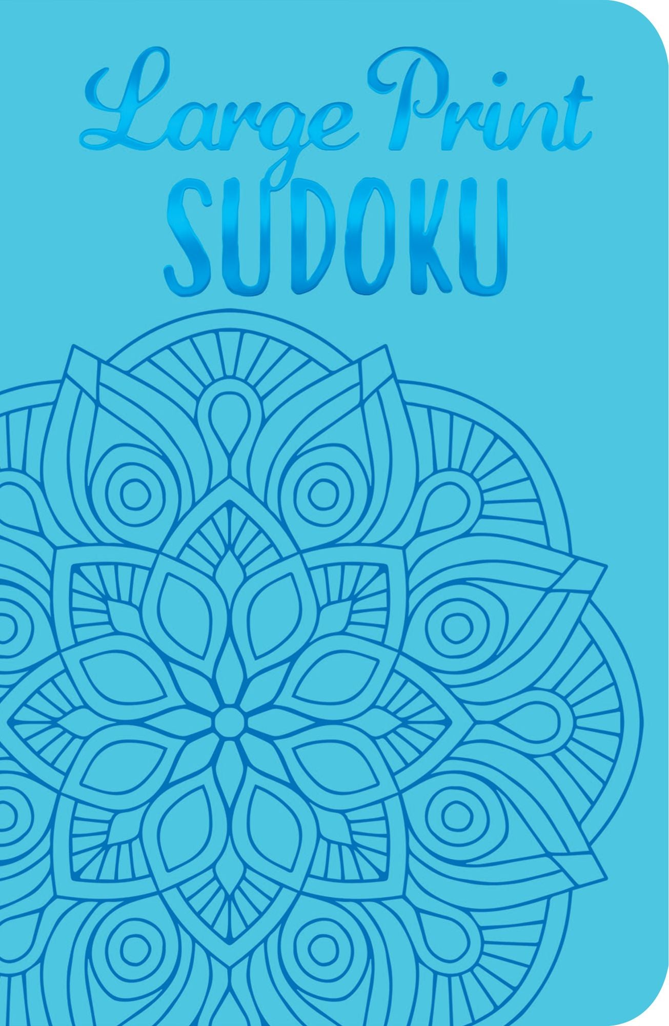 Puzzle Break: Large Print Sudoku I