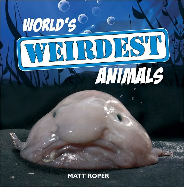 World's Weirdest Animals