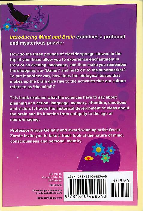Introducing Mind & Brain: Graphic Guide