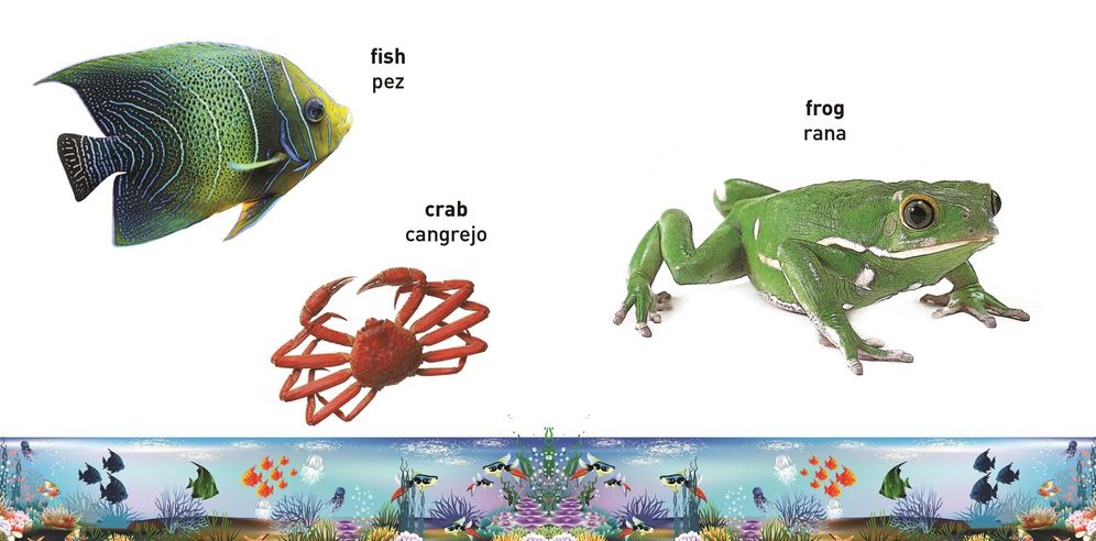 My First Bilingual Book-Animals (English-Spanish)